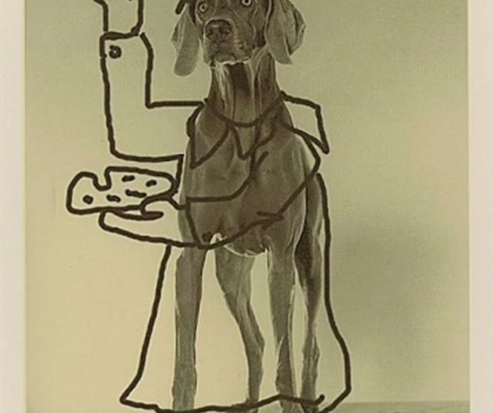 گالری عکس‌های ویلیام وگمن از آمریکا