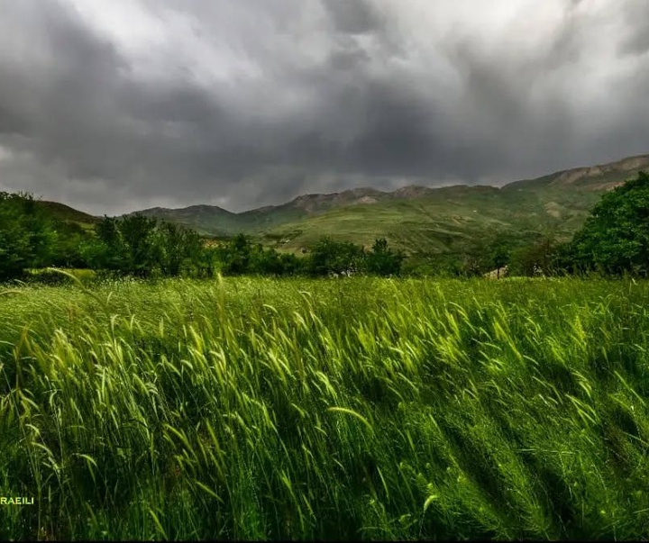 گالری عکس های نیما جبرائیلی از ایران