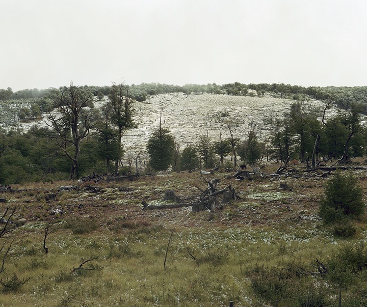 گالری منتخبی از آثار عکاسی هنرمندان آرژانیتینی