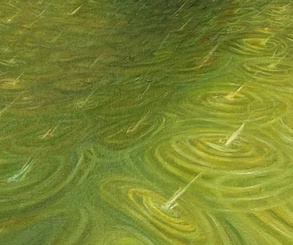 گالری نقاشی‌های لولا ماری از آرژانتین