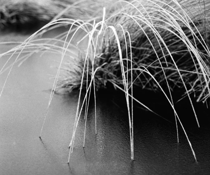 گالری آثار عکاسی مایک سایدل از آلمان