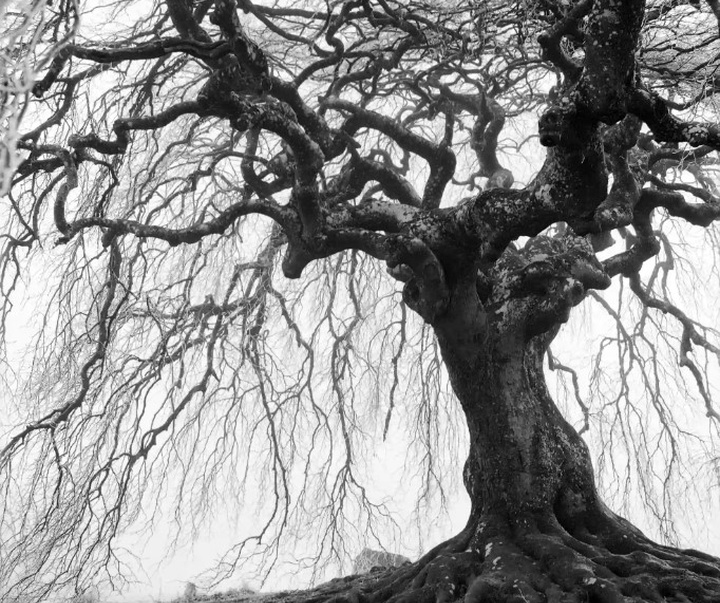 گالری آثار عکاسی مایک سایدل از آلمان