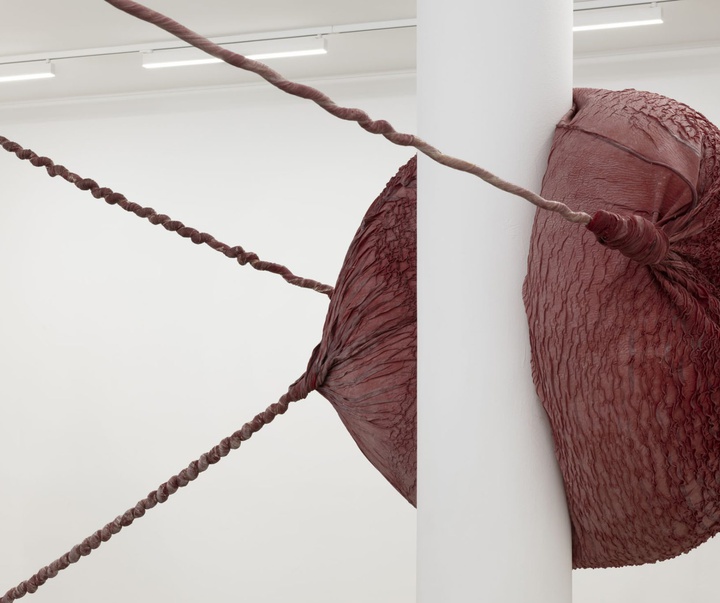 گالری آثر چیدمان و حجم اوا فابرگاس از اسپانیا