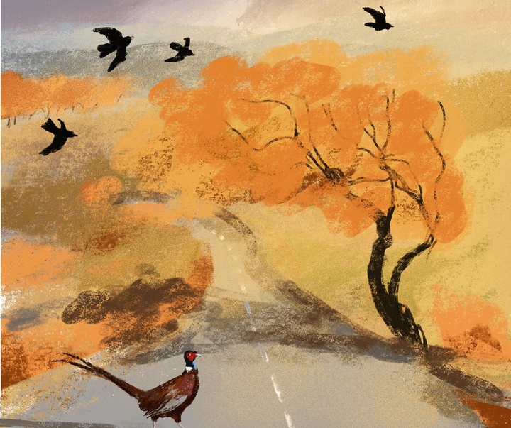 گالری تصویرسازی های جنی بلومفیلد از انگلیس