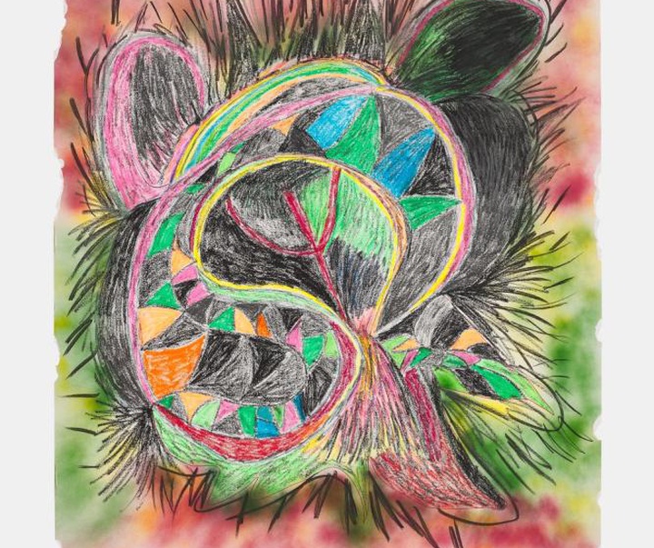 گالری تصویرسازی‌های تادسکیا از برزیل