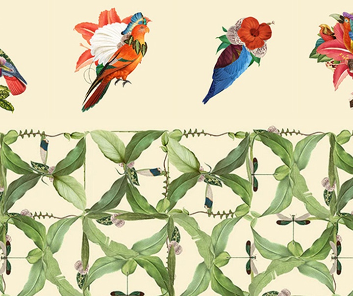 گالری تصویرسازی‌های گیرمو فلورس پاچکو از مکزیک