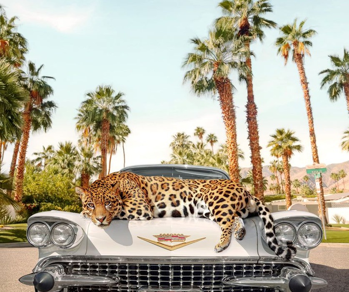 گالری آثار عکاسی پاول فوئنتس از بریتانیا