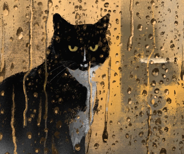 جنی بلومفیلد