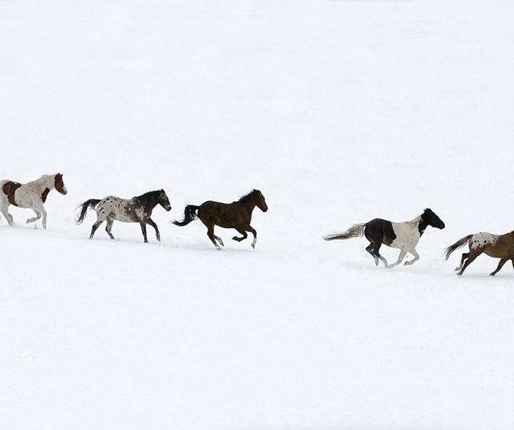 گالری آثار عکاسی جیم زاکرمن از برزیل - قسمت دوم