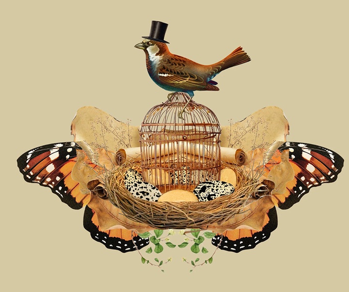 گالری تصویرسازی‌های گیرمو فلورس پاچکو از مکزیک