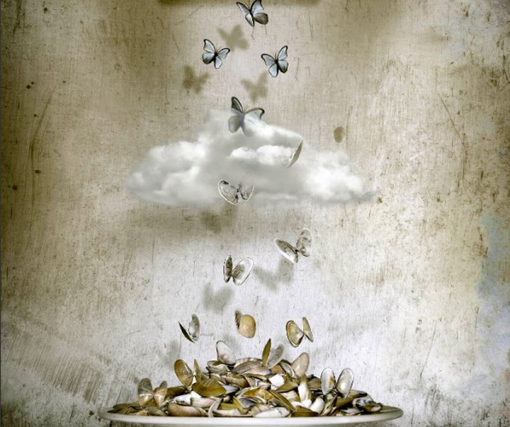 گالری آثار عکاسی اوریول یولانچ از اسپانیا