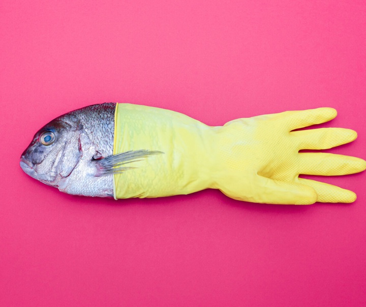 گالری عکس‌های وولف سیلوری از اتریش