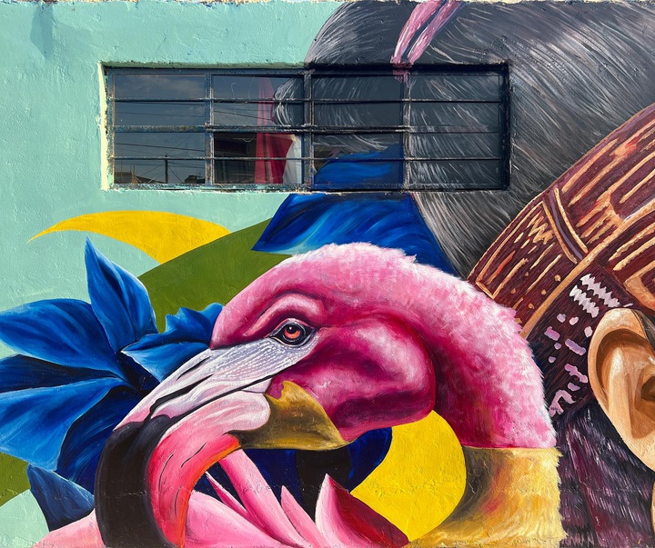 گالری هنرهای خیابانی فرانک ماچوک از پرو