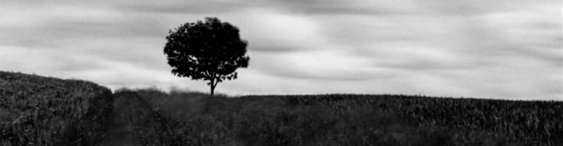 گالری آثار عکاسی مایک سایدل از آلمان