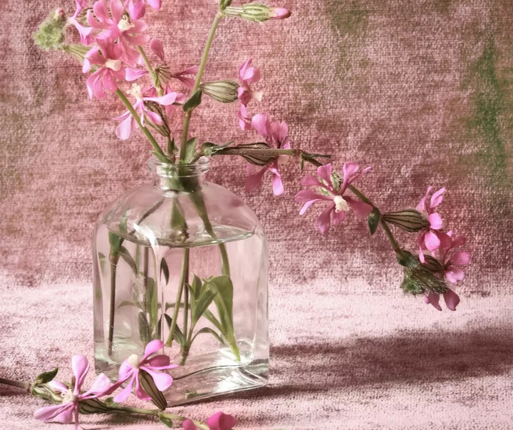 گالری عکس های خوزه ملادو از اسپانیا