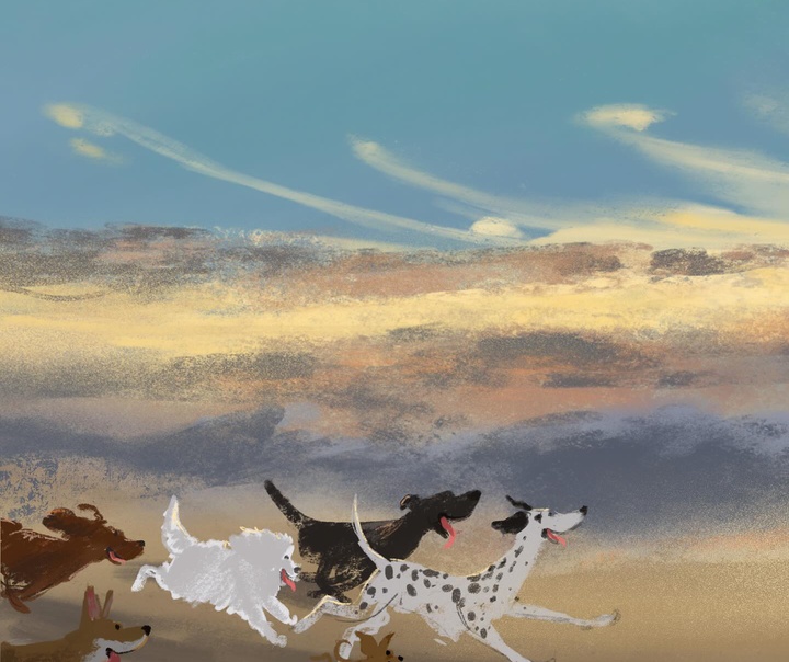 جنی بلومفیلد