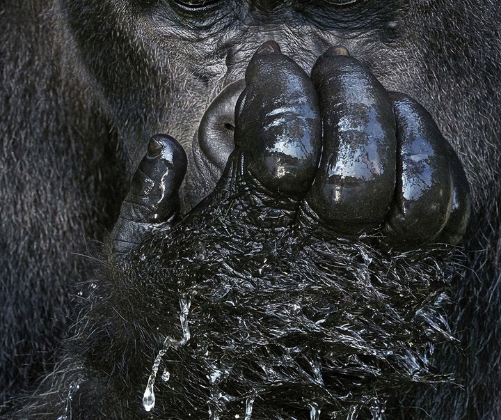 گالری عکس‌های خلاقانه تیم فلچ از بریتانیا