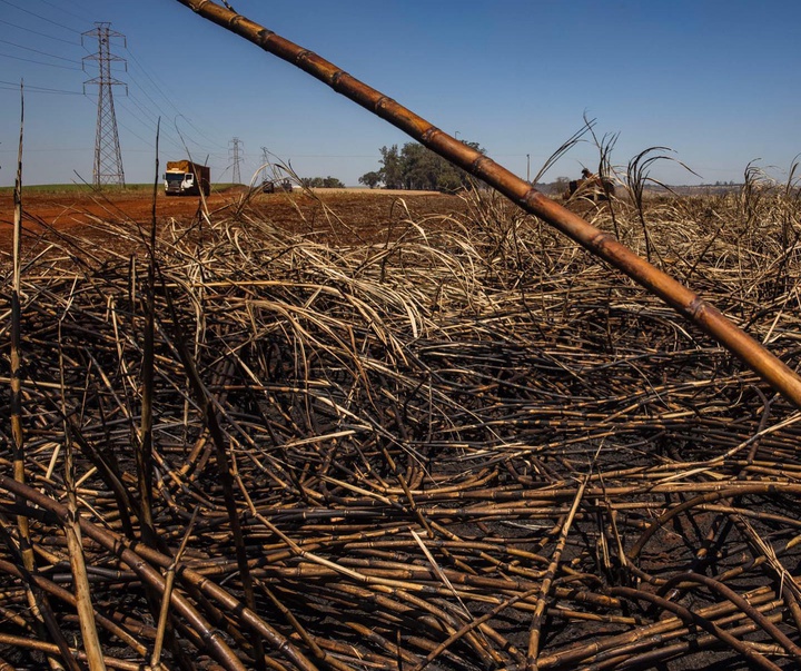 گالری آثار عکاسی ویکتور موریاما از برزیل