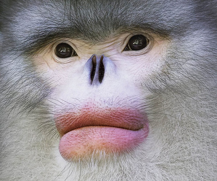 گالری عکس‌های خلاقانه تیم فلچ از بریتانیا