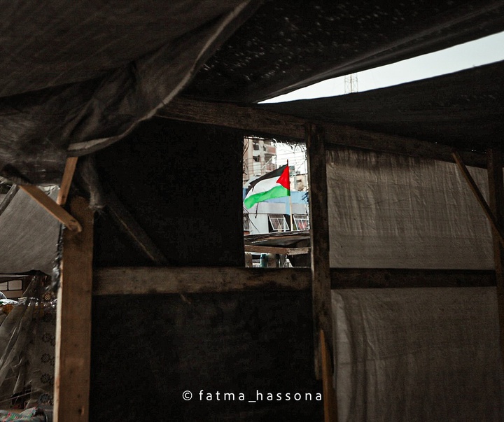 گالری عکس‌های فاطمه حسونا از فلسطین