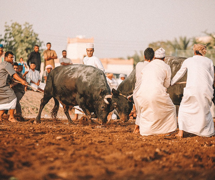 منتخب آثار عکاسی { مصطفی عبدالهادی } از بحرین ( بخش دوم )