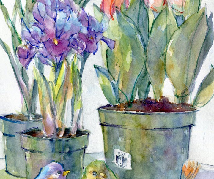 گالری نقاشی های آبرنگ پم ونگر از آمریکا
