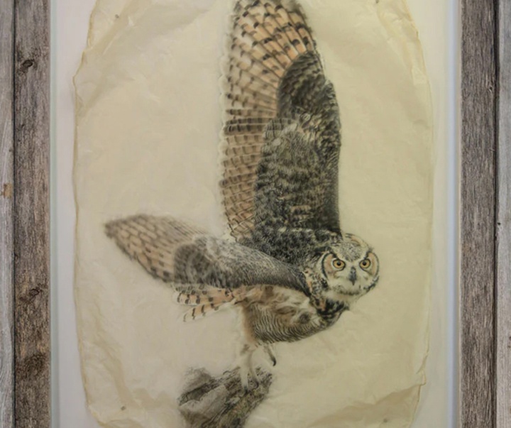 گالری نقاشی‌های پیت زالوزک از آمریکا