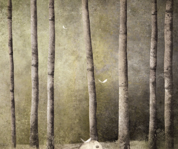 گالری تصویرسازی‌های گابریل پاچکو از مکزیک