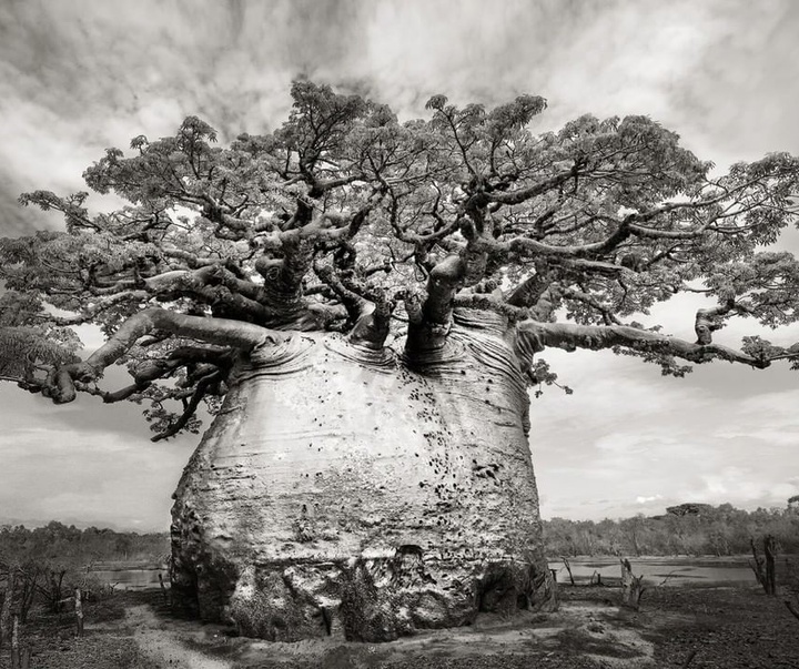 beth moon