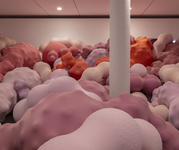 گالری آثر چیدمان و حجم اوا فابرگاس از اسپانیا