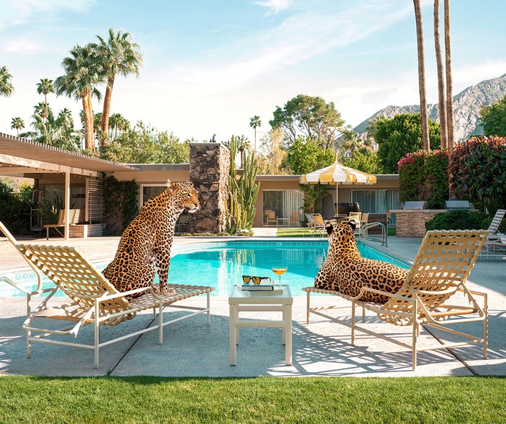 گالری آثار عکاسی پاول فوئنتس از بریتانیا