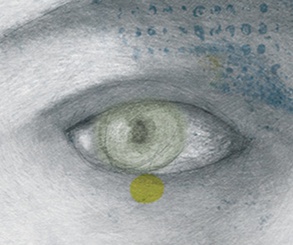 گالری تصویرسازی‌های گابریل پاچکو از مکزیک