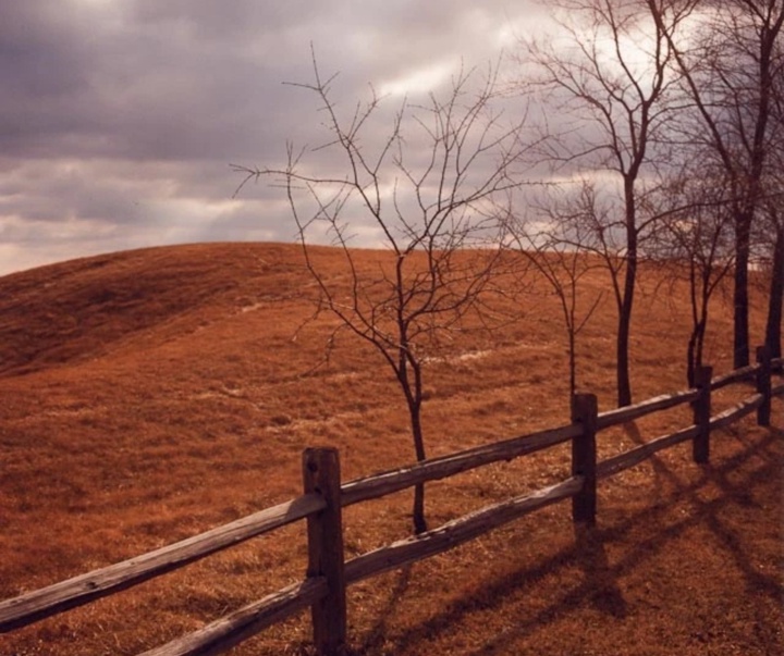 گالری آثار عکاسی تاد هیدو از آمریکا