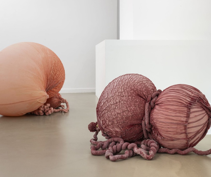 گالری آثر چیدمان و حجم اوا فابرگاس از اسپانیا