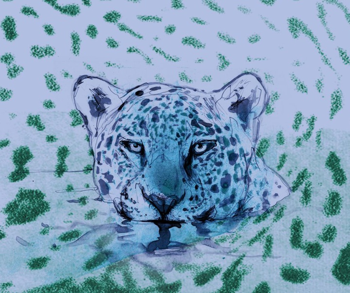 گالری آثار تصویرسازی زی اوتاویو از برزیل - قسمت اول