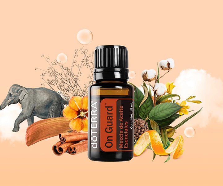 گالری تصویرسازی‌های گیرمو فلورس پاچکو از مکزیک