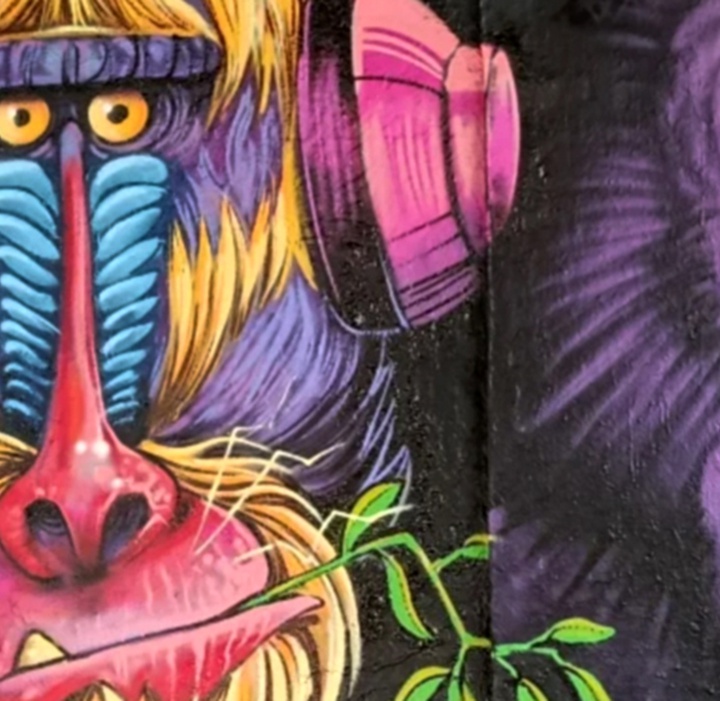 گالری آثار کارتون و کاریکاتور لاتراش یاسین از فرانسه