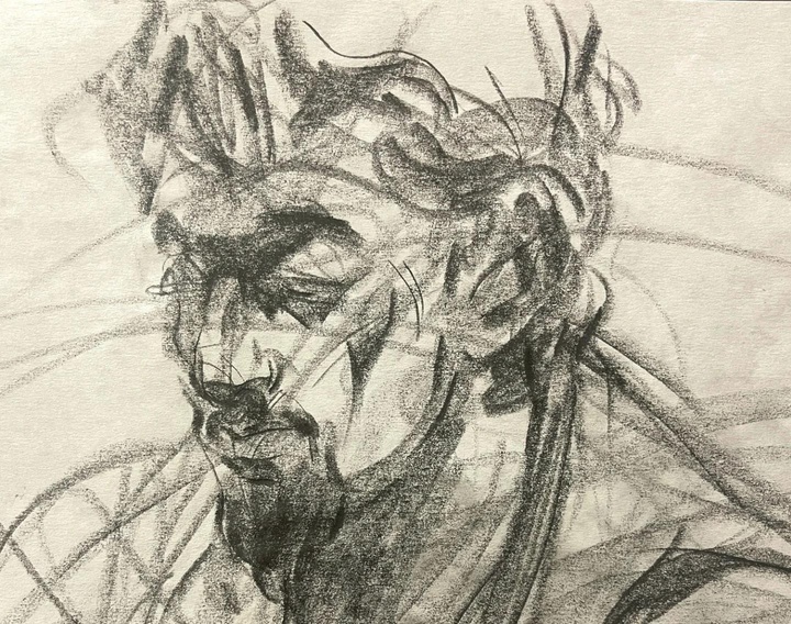 گالری طراحی های کیمیا پاکار از ایران