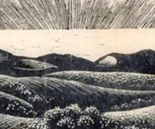 گالری آثار گرافیک کلر لیتون از آمریکا