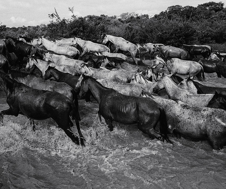 گالری آثار عکاسی خوانیتا اسکوبار از کلمبیا