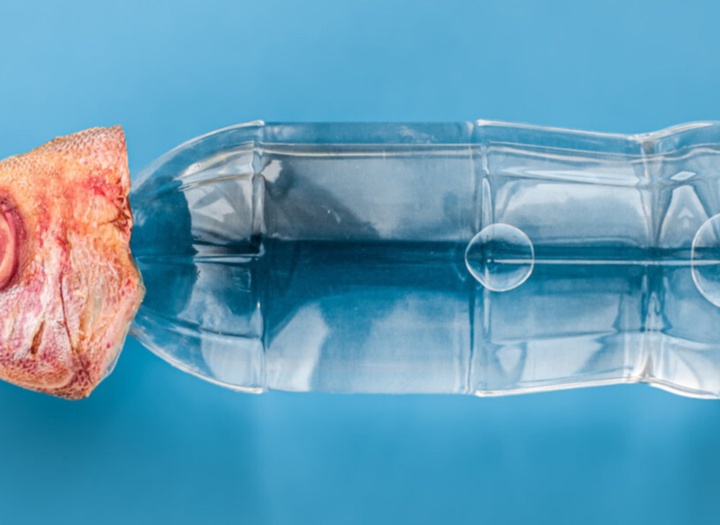 گالری عکس‌های وولف سیلوری از اتریش