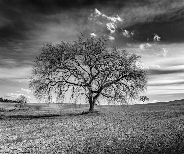 گالری آثار عکاسی جیامپائولو آنتونی از ایتالیا