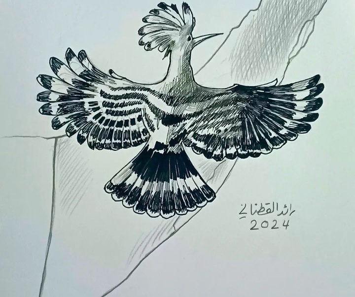 گالری تصویرسازی‌های رائد یوسف کاتان از فلسطین