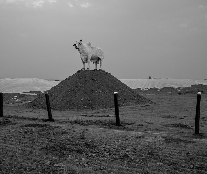 گالری آثار عکاسی لالو د آلمیدا از برزیل - قسمت دوم