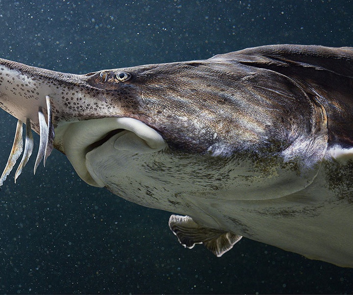 گالری عکس‌های خلاقانه تیم فلچ از بریتانیا