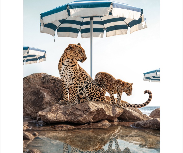 گالری آثار عکاسی پاول فوئنتس از بریتانیا