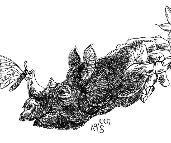 امیر سقراطی