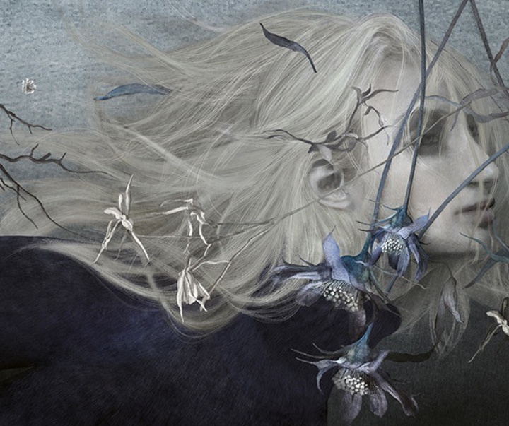 گالری تصویرسازی‌های گابریل پاچکو از مکزیک