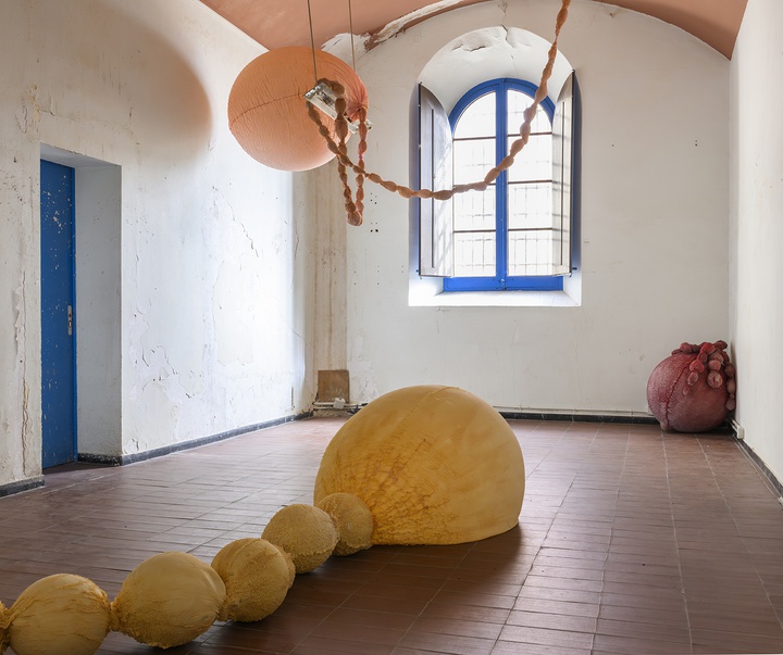 گالری آثر چیدمان و حجم اوا فابرگاس از اسپانیا