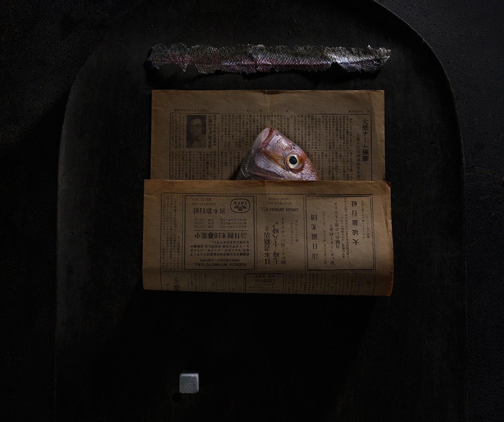 گالری عکس‌های استودیو پاتو کاتز از آرژانتین